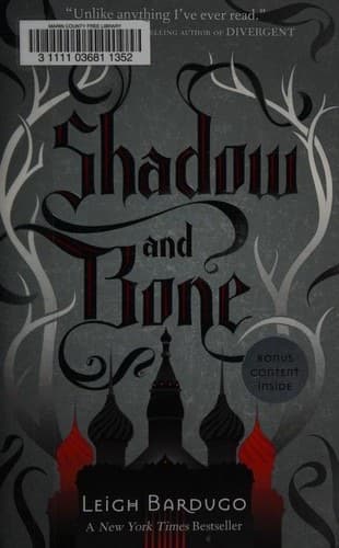 Shadow and Bone – Leigh Bardugo
